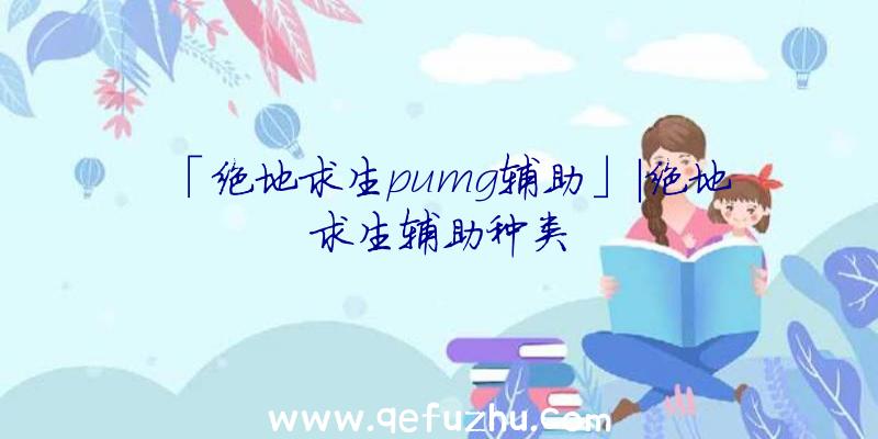 「绝地求生pumg辅助」|绝地求生辅助种类